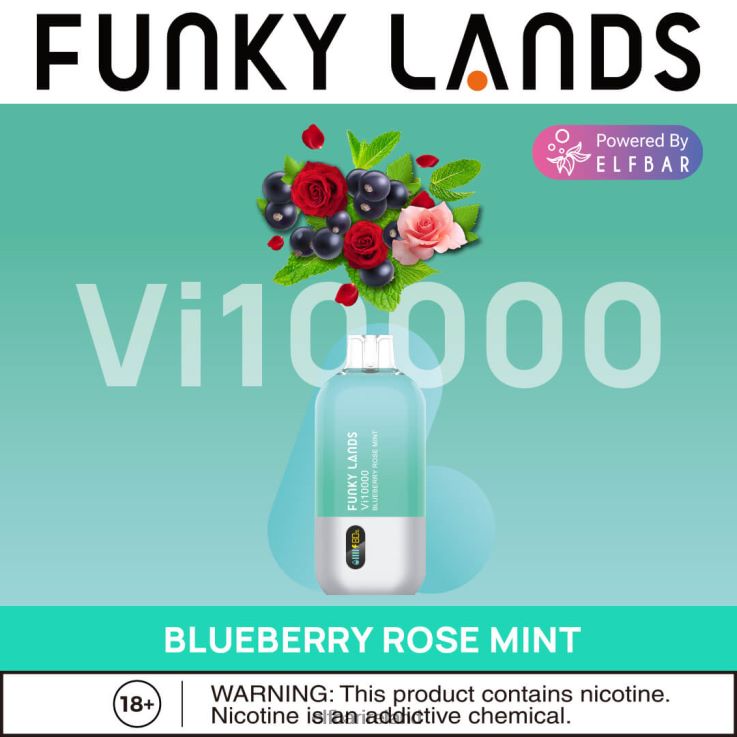 Funky Lands Disposable Vape Vi10000 Puffs Blueberry Rose Mint ELFBAR 0080XP163