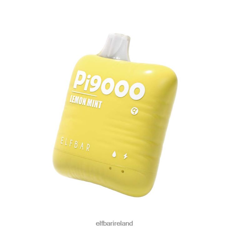 Pi9000 Disposable Vape 9000 Puffs Lemon Mint ELFBAR 0080XP111